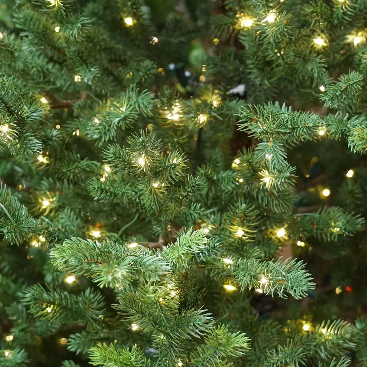 Dellonda Pre-Lit 5ft Hinged Christmas Tree with Warm White LED Lights & PE/PVC Tips - Image 9