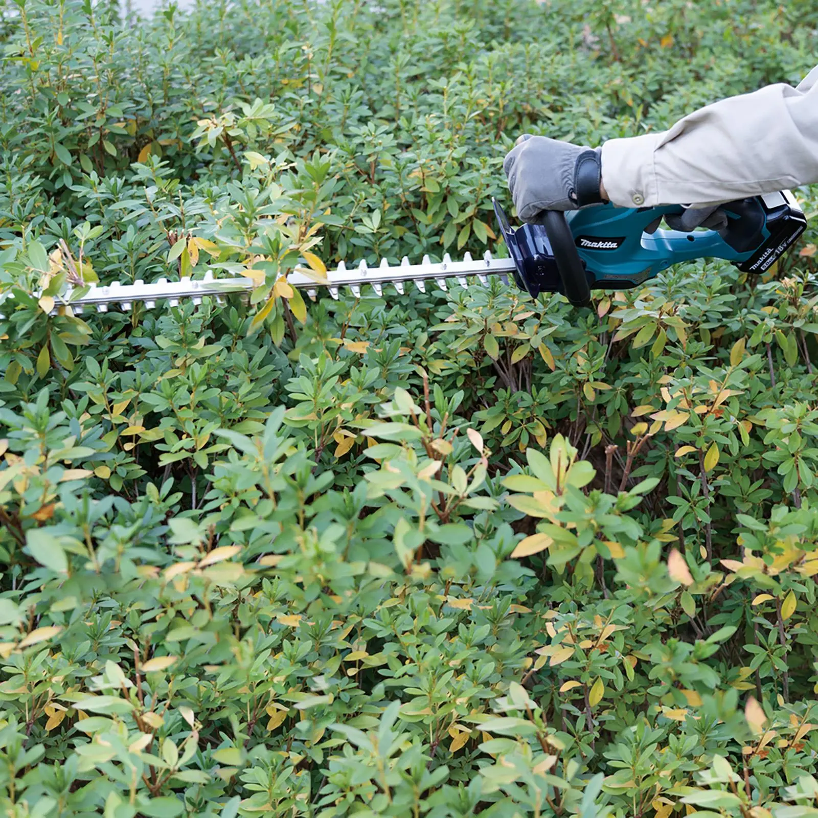 Makita Hedge Trimmer Kit 50cm 18V LXT Li-ion Cordless 5Ah Battery and Charger Garden Bush Cutter Cutting DUH507RT - Image 2