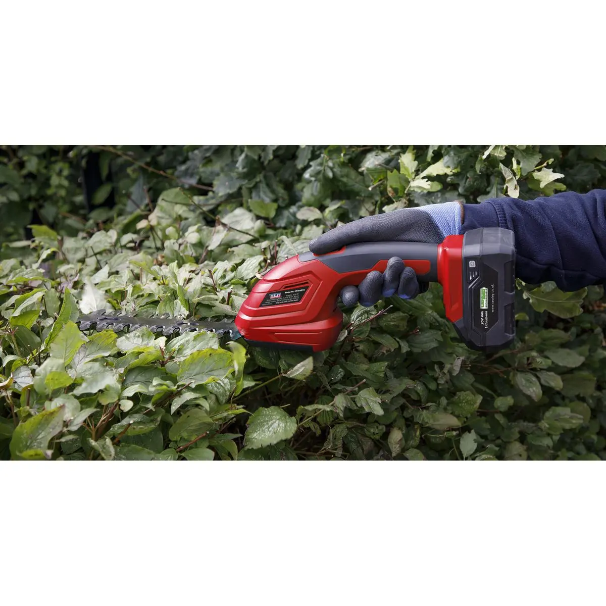 Sealey 2 x 20V SV20 Series Gardening/Pruning Cleaning Combo Kit - Image 3
