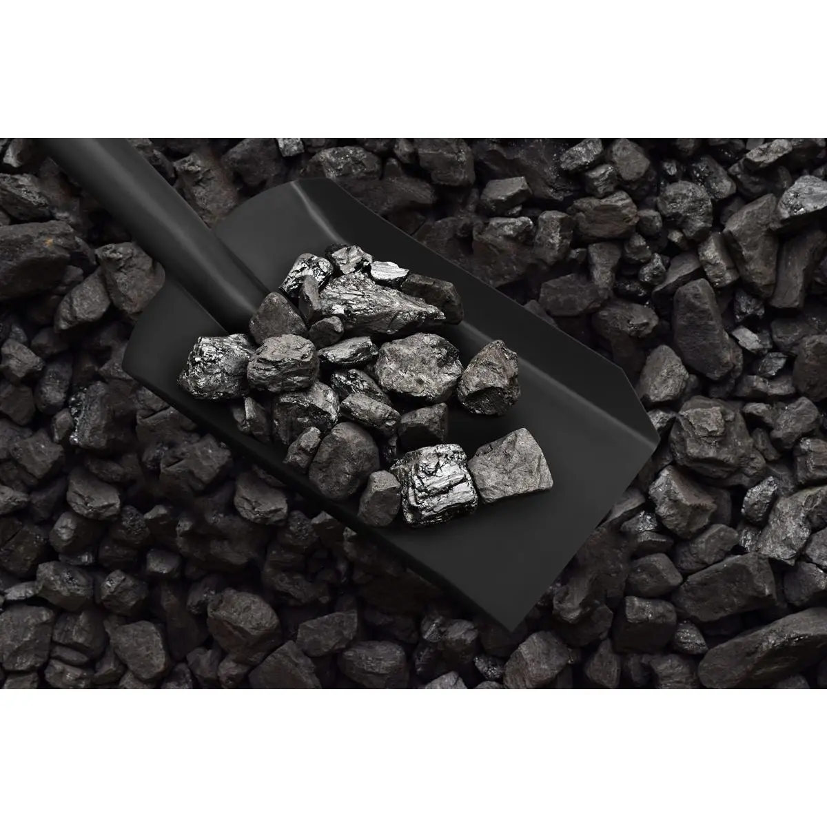Sealey Coal Shovel 4" with 160mm Handle - Image 3
