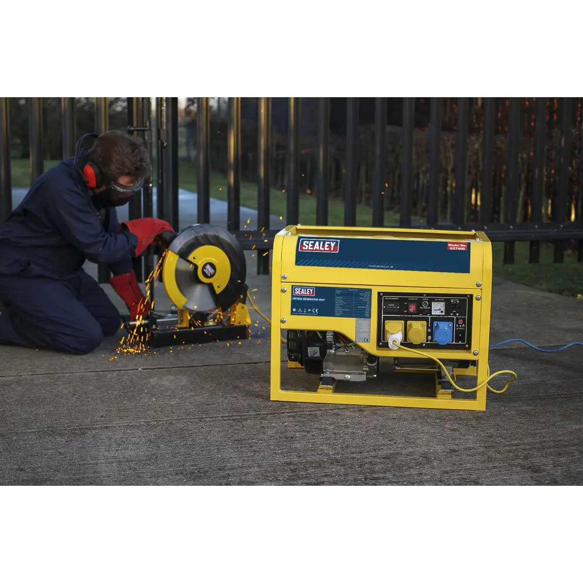 Sealey Generator 6000W 110/230V 13hp - Image 3