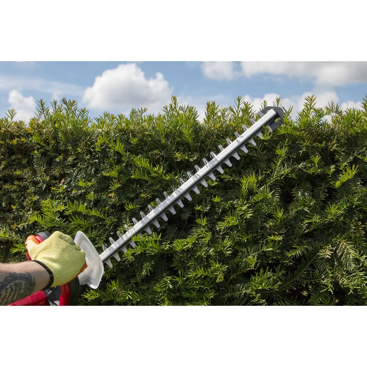 Sealey 20V Cordless 520mm Hedge Trimmer Kit 2Ah Battery and Charger - Image 11