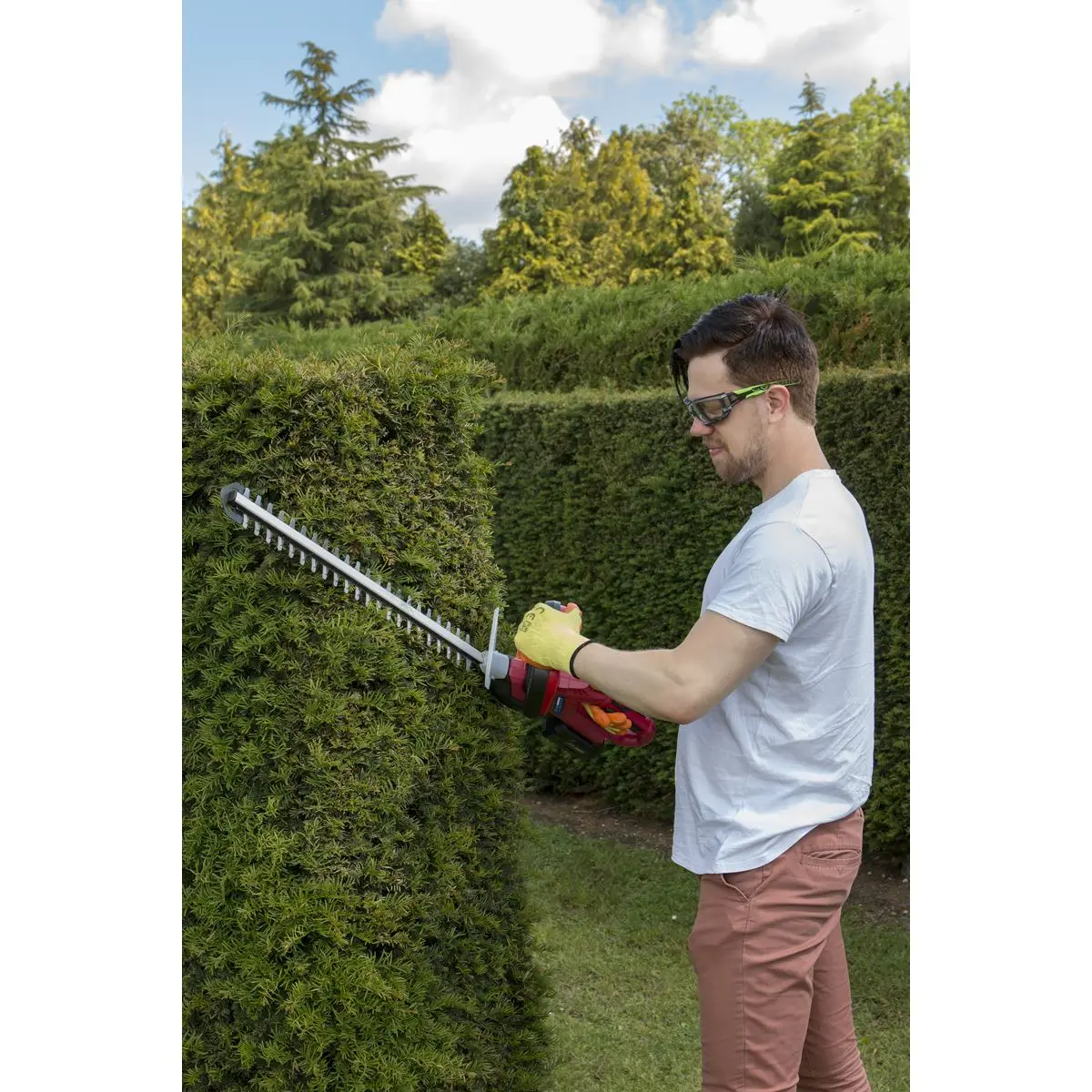 Sealey 20V Cordless 520mm Hedge Trimmer Kit 2Ah Battery and Charger - Image 2