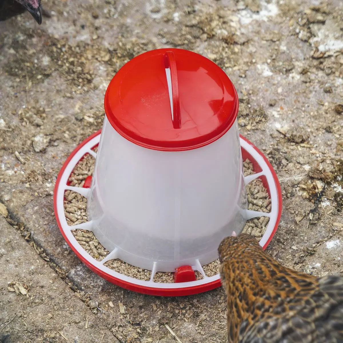 Sealey Poultry Feeder 1.5kg - Image 5