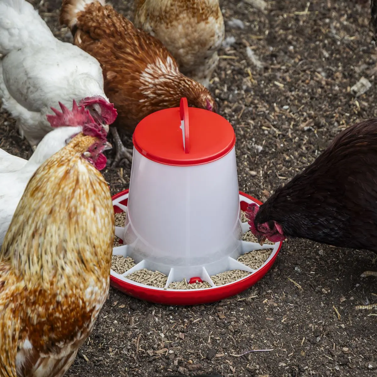 Sealey Poultry Feeder 6kg - Image 2