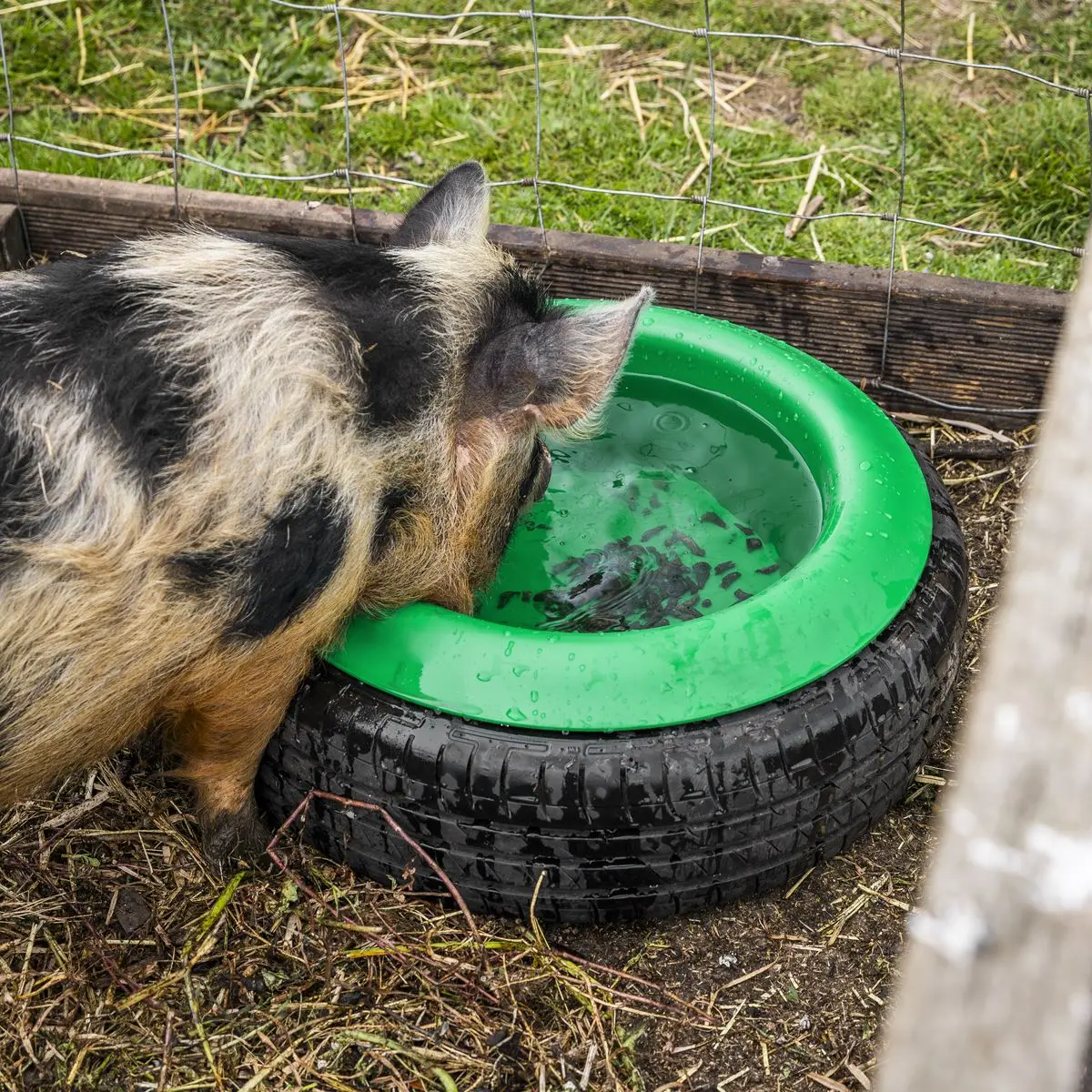 Sealey Tyre Feed Bowl 15L - Image 3