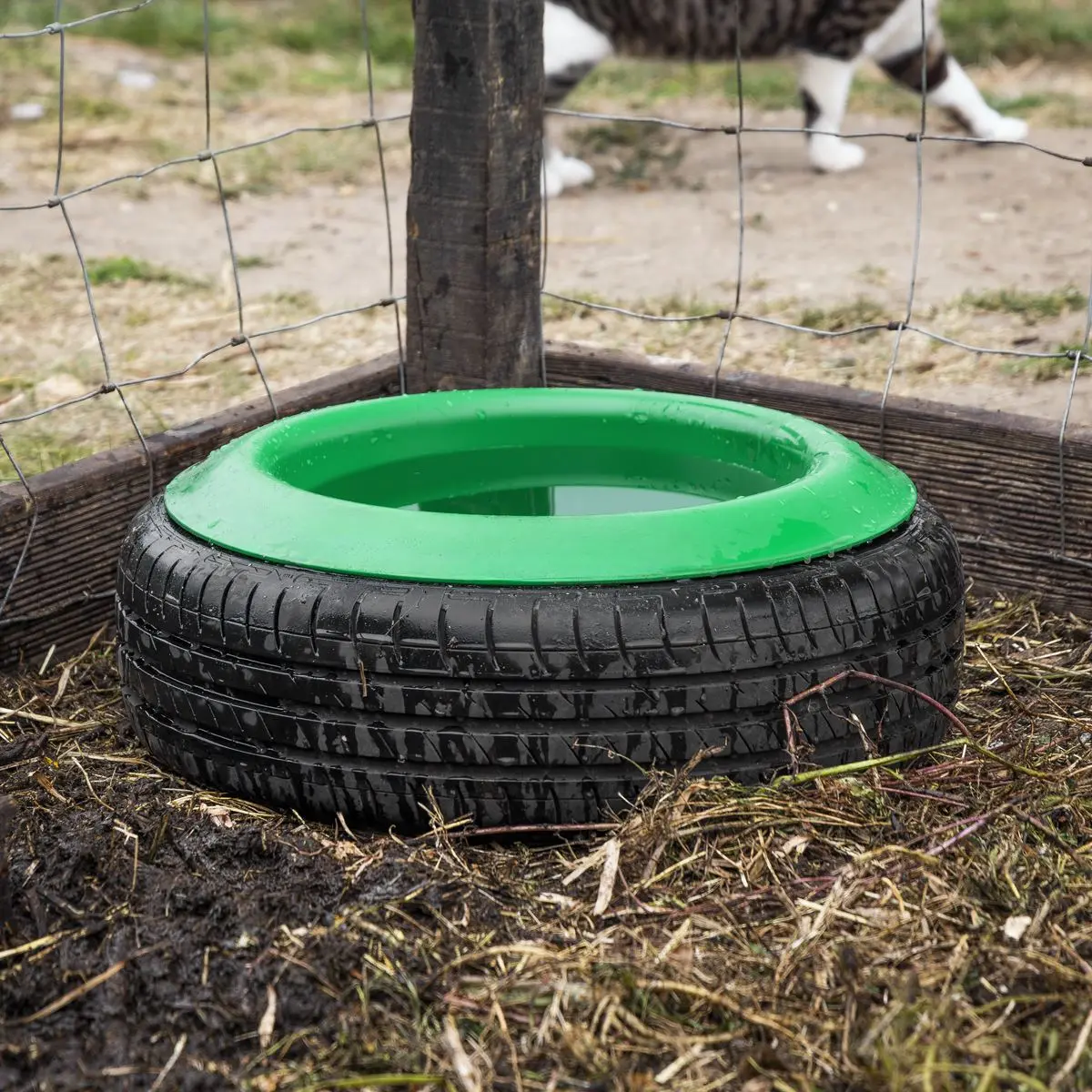 Sealey Tyre Feed Bowl 15L - Image 4