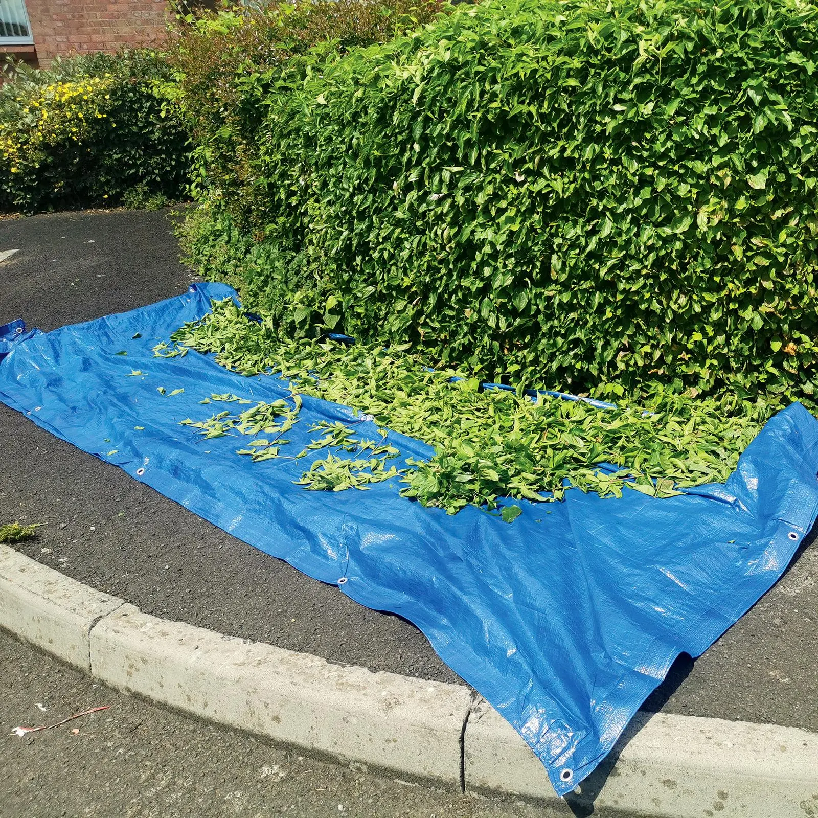 Silverline Small Cut Tarpaulin - Image 21