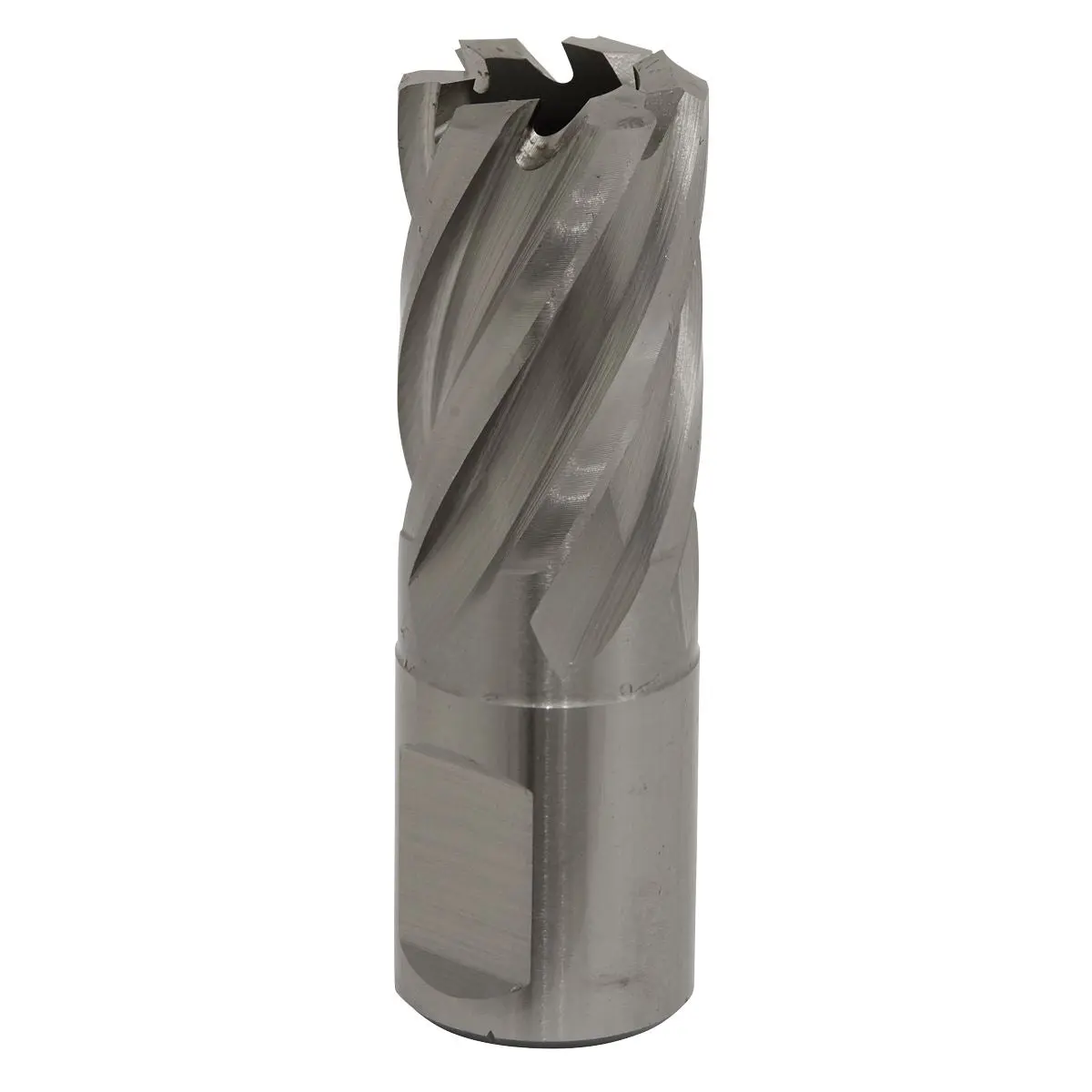 Worksafe by Sealey Mag Drill Bit HSS Ø19mm - Cut Depth 25mm